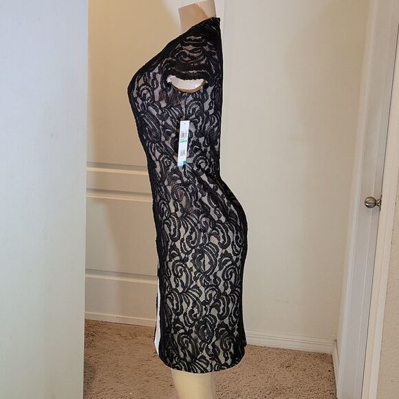 NWT IVY&BLU  BLACK LACE PANEL BODYCON DRESS - Picture 4 of 16